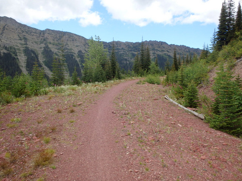 GDMBR: Single Track with a wide area (FR-4353, Richmond Peak, MT).
